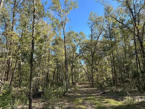 55AC W Highway 318 Reddick FL 32686