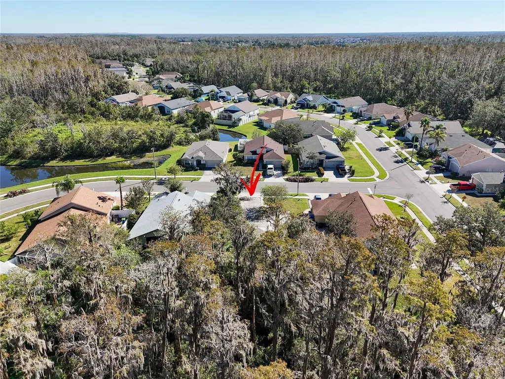 1323 Baythorn Drive Wesley Chapel FL 33543