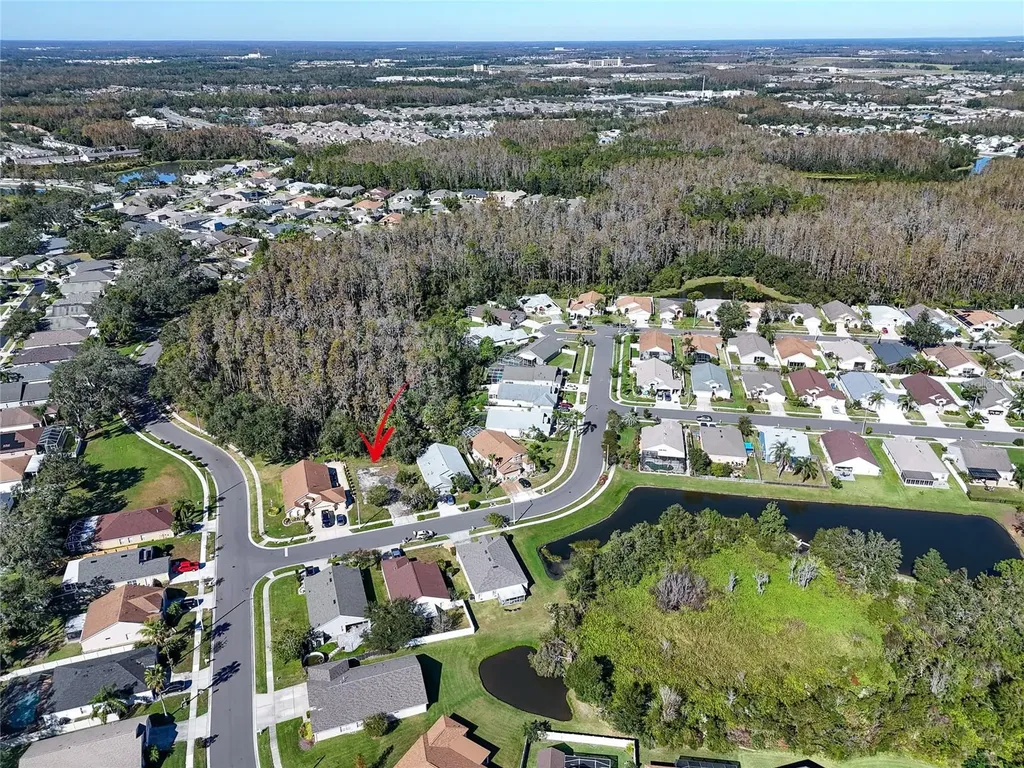 1323 Baythorn Drive Wesley Chapel FL 33543