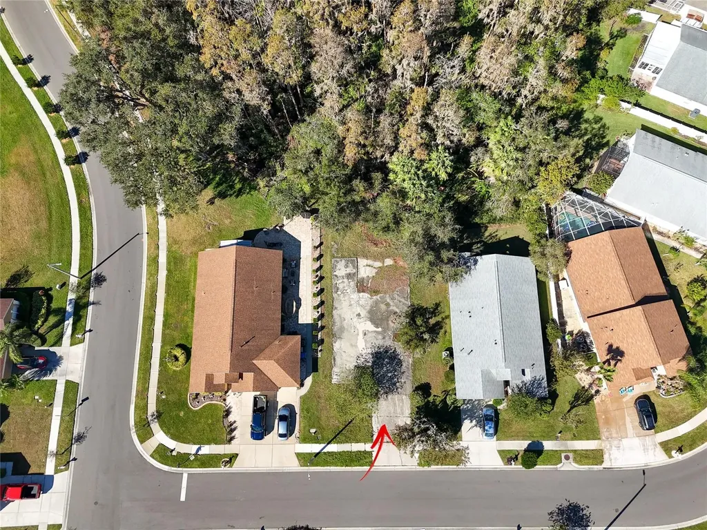 1323 Baythorn Drive Wesley Chapel FL 33543