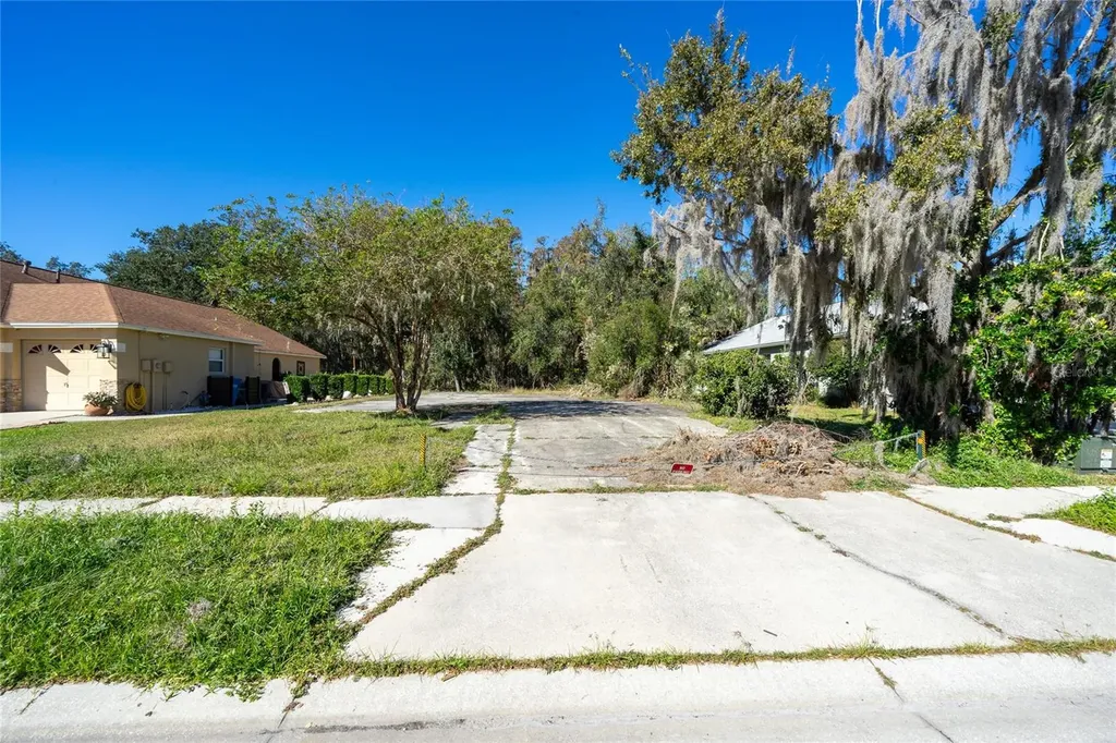 1323 Baythorn Drive Wesley Chapel FL 33543