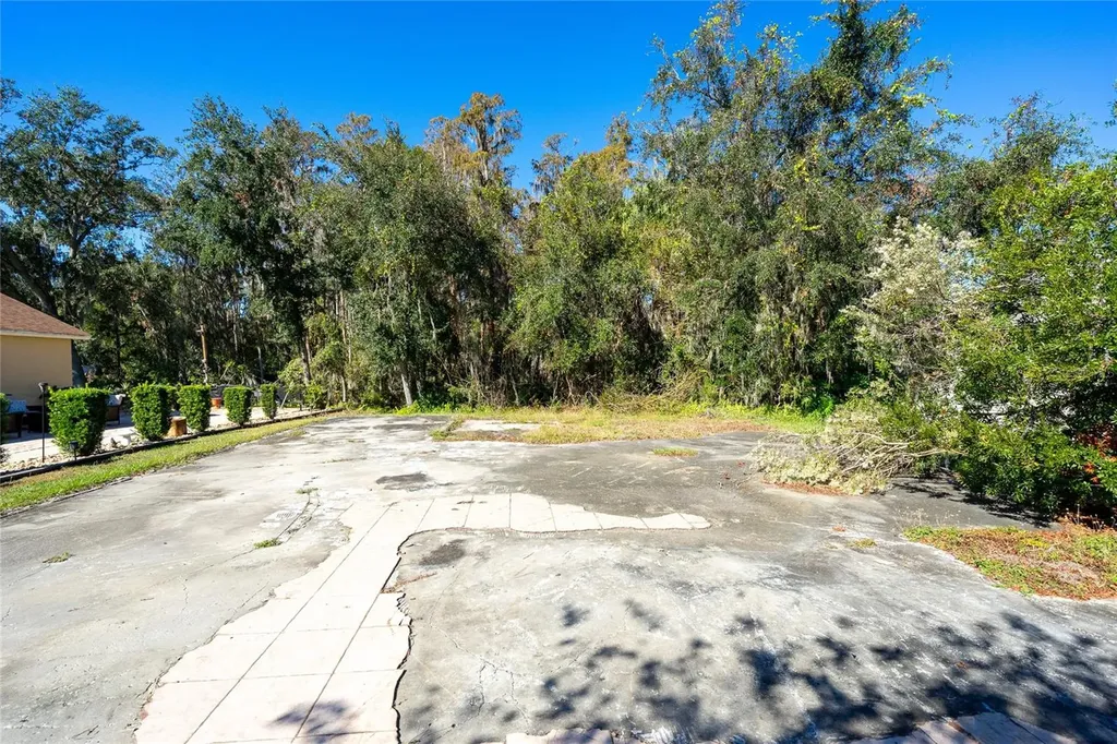 1323 Baythorn Drive Wesley Chapel FL 33543