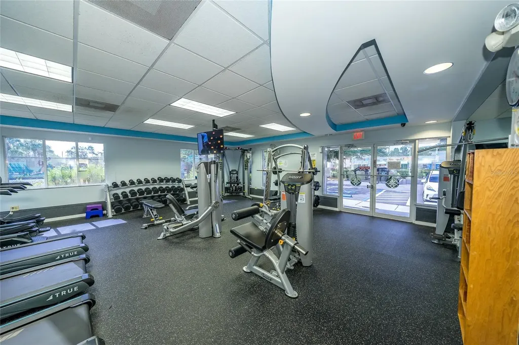 1323 Baythorn Drive Wesley Chapel FL 33543