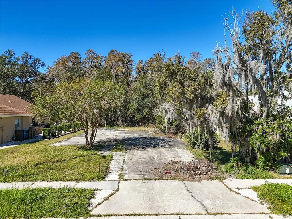 1323 Baythorn Drive Wesley Chapel FL 33543