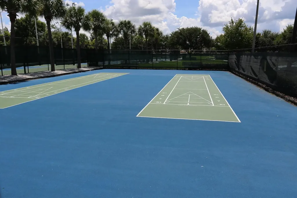 1323 Baythorn Drive Wesley Chapel FL 33543