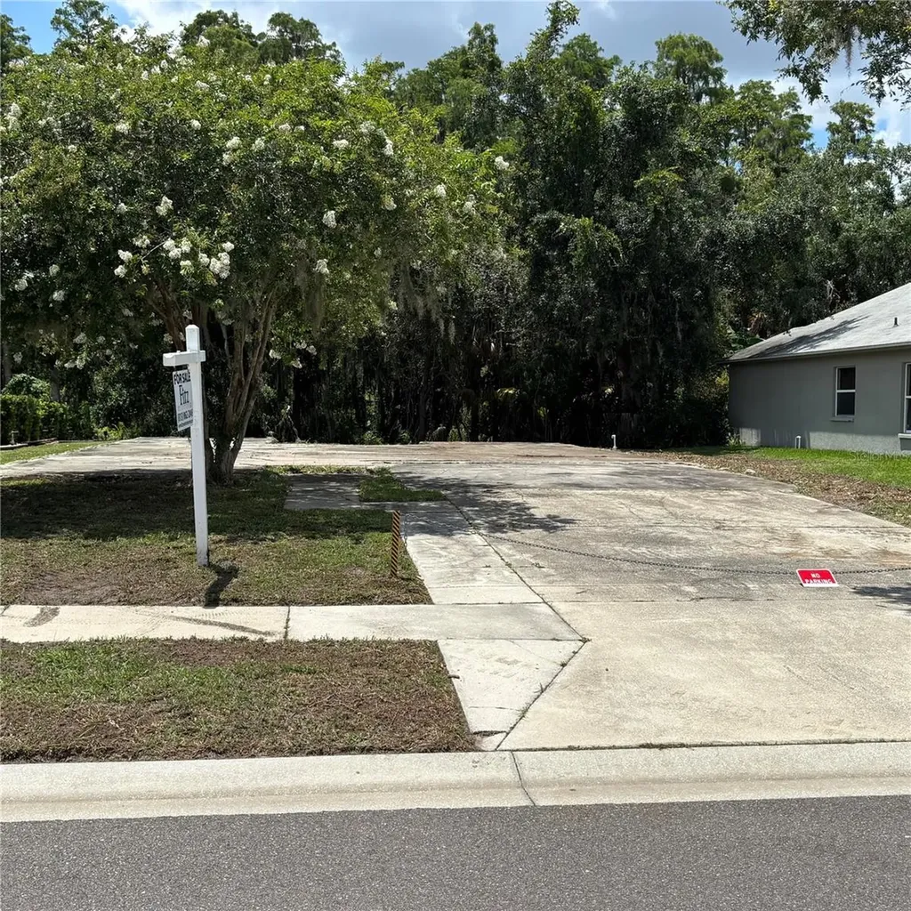 1323 Baythorn Drive Wesley Chapel FL 33543
