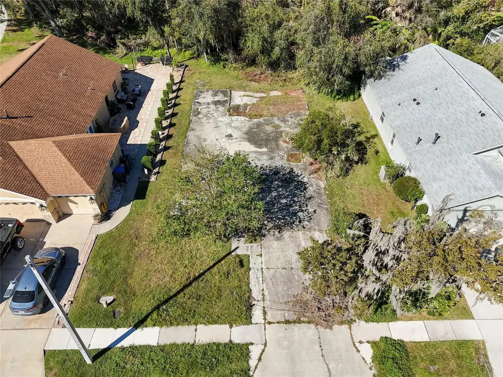 1323 Baythorn Drive Wesley Chapel FL 33543
