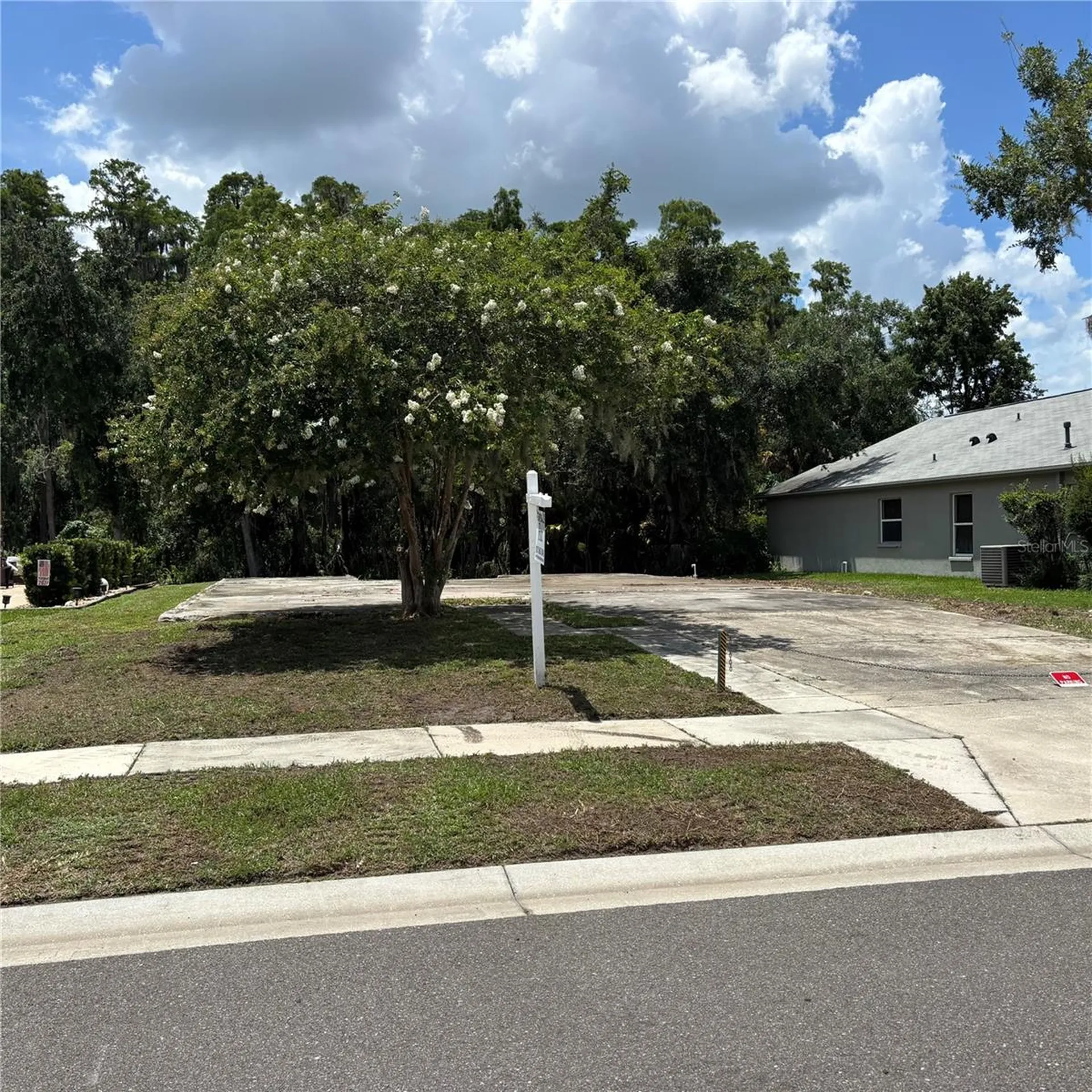 1323 Baythorn Drive Wesley Chapel FL 33543