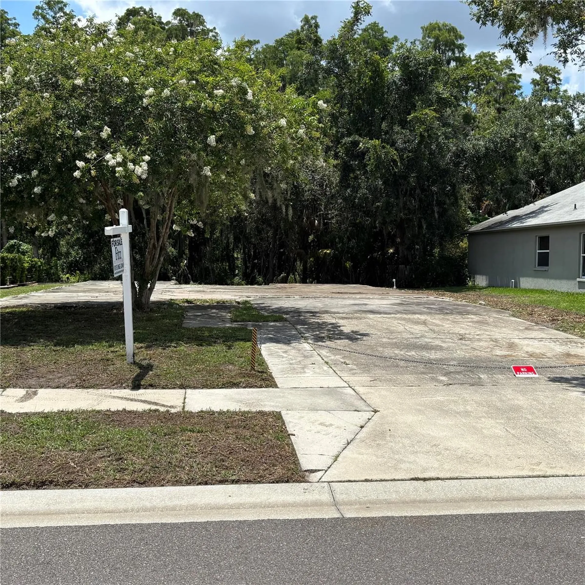 1323 Baythorn Drive Wesley Chapel FL 33543