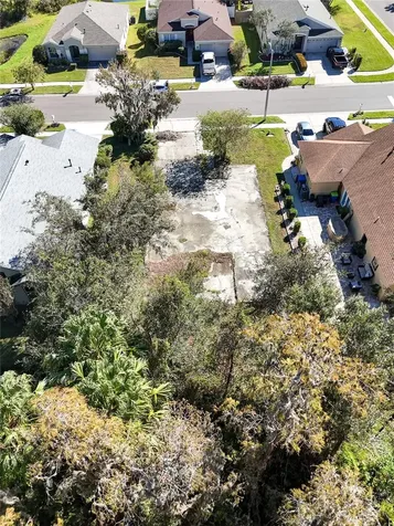 1323 Baythorn Drive Wesley Chapel FL 33543