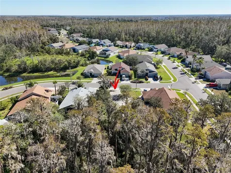 1323 Baythorn Drive Wesley Chapel FL 33543