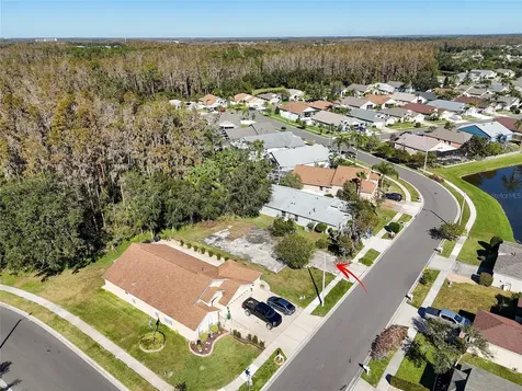 1323 Baythorn Drive Wesley Chapel FL 33543