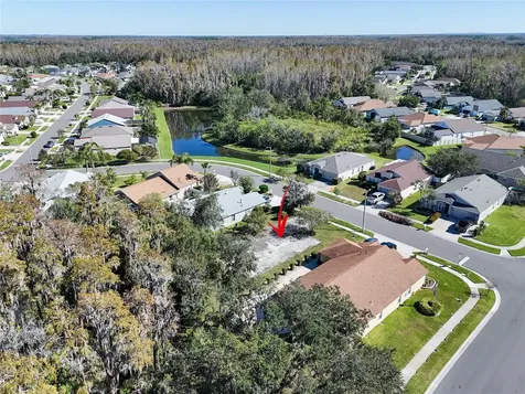 1323 Baythorn Drive Wesley Chapel FL 33543