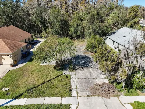 1323 Baythorn Drive Wesley Chapel FL 33543