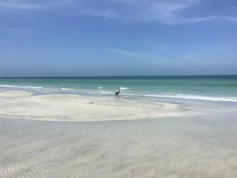1430 Gulf Boulevard Clearwater Beach FL 33767