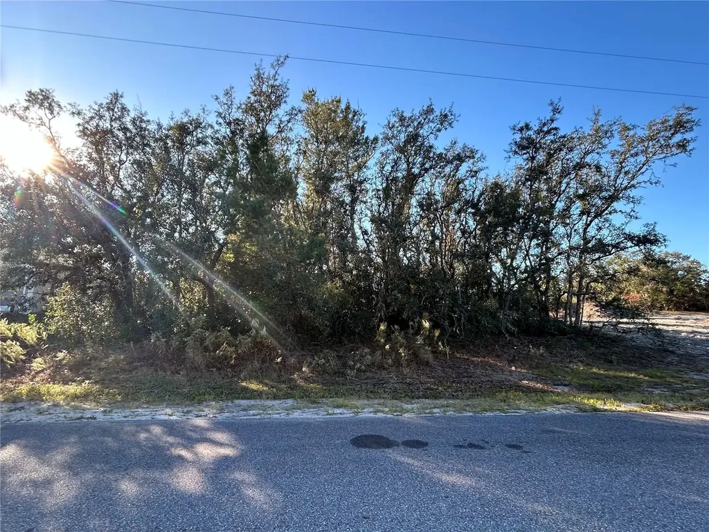 14046 Amero Lane Spring Hill FL 34609