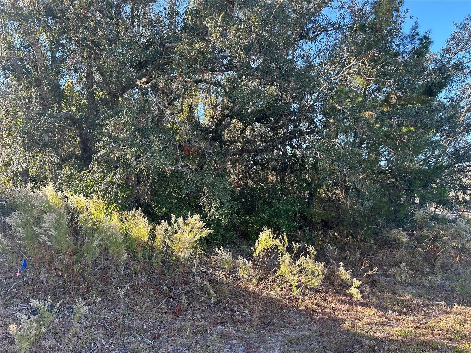 14046 Amero Lane Spring Hill FL 34609