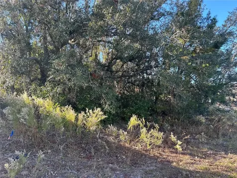 14046 Amero Lane Spring Hill FL 34609