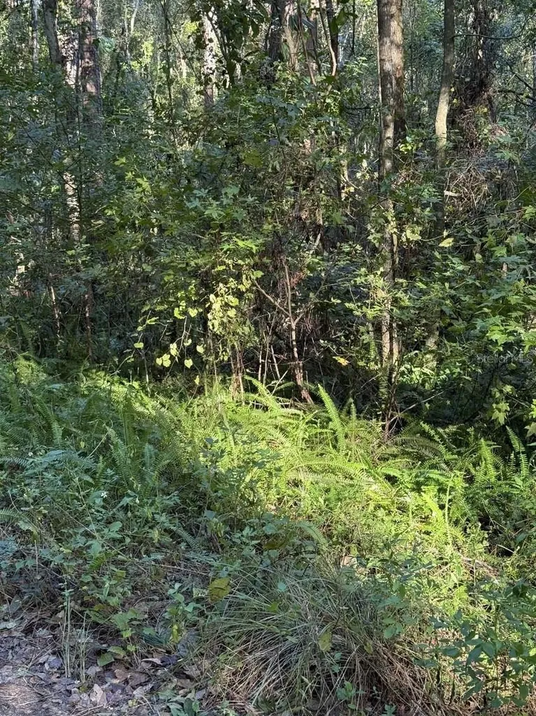 Tbd NW 7th Street Ocala FL 34482