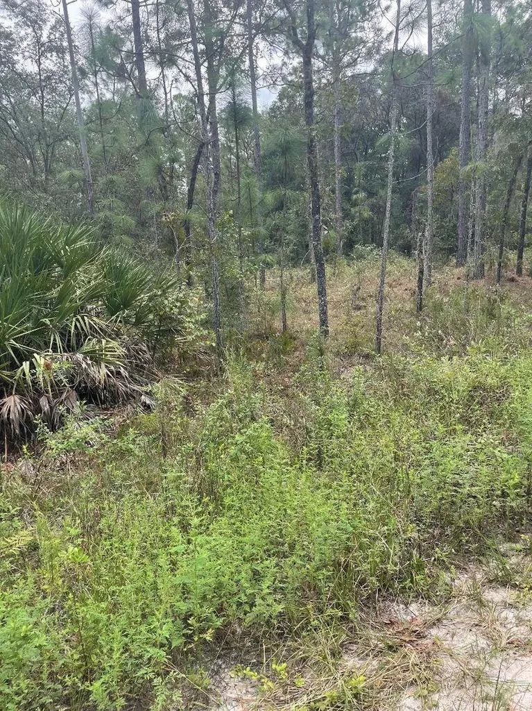 Lot 7 SW 159th Avenue Ocala FL 34481