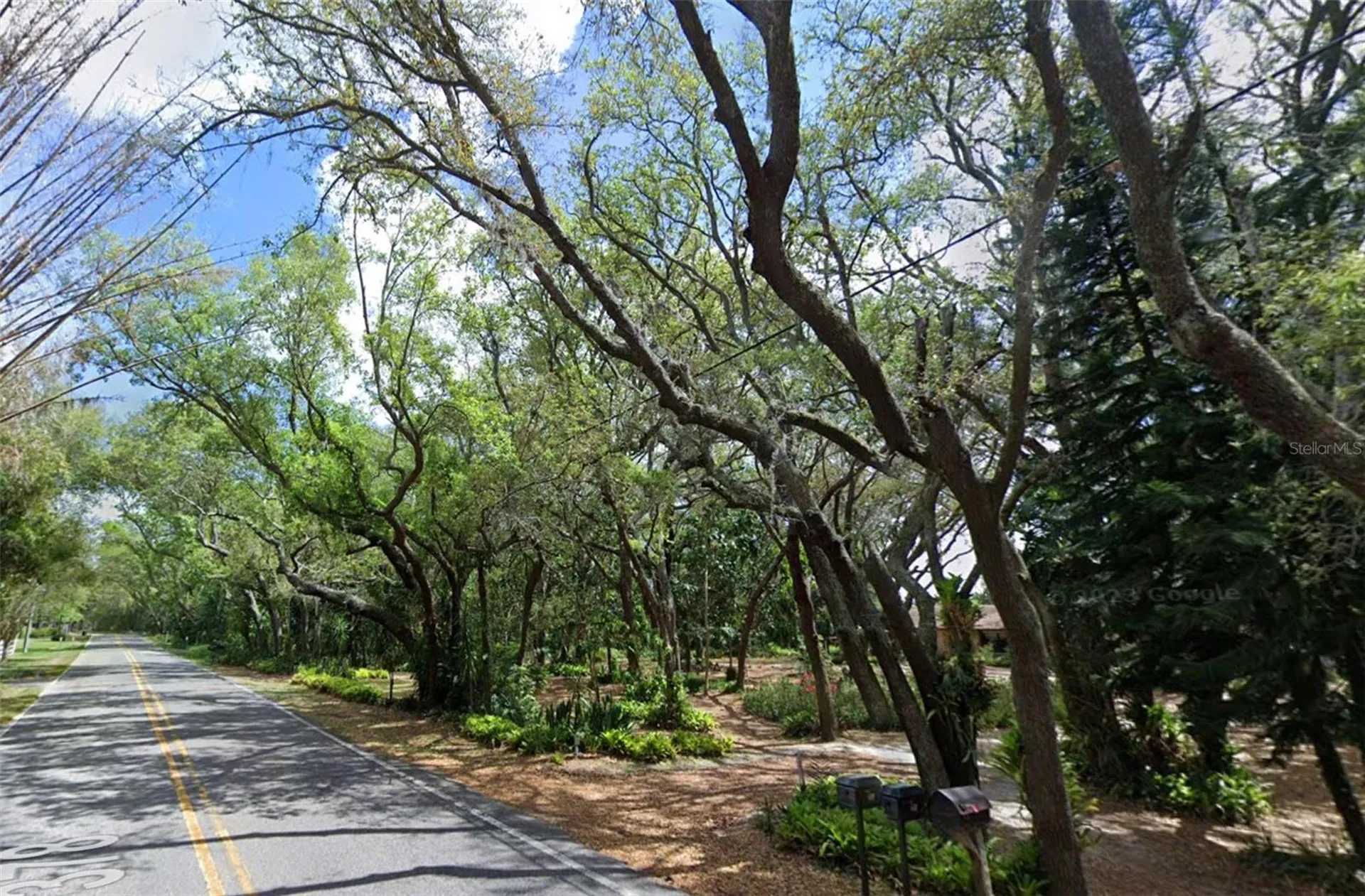 17144 Phil C Peters Road Winter Garden FL 34787