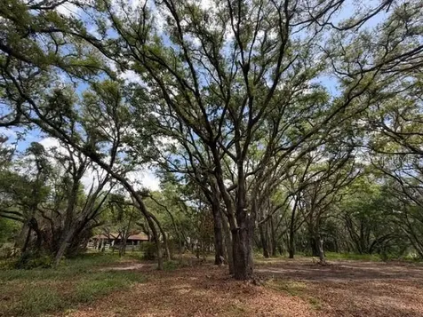 17144 Phil C Peters Road Winter Garden FL 34787