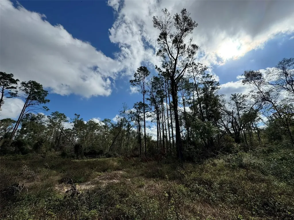143RD Drive O'brien FL 32071