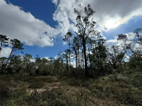 143RD Drive O'brien FL 32071