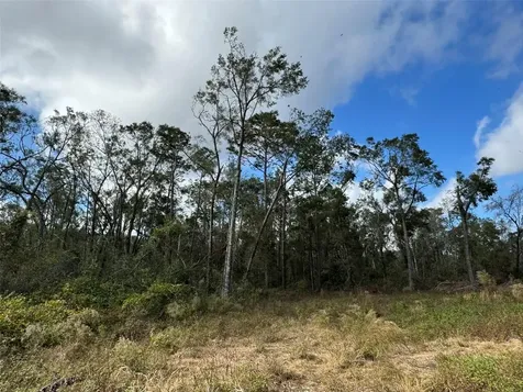 143RD Drive O'brien FL 32071