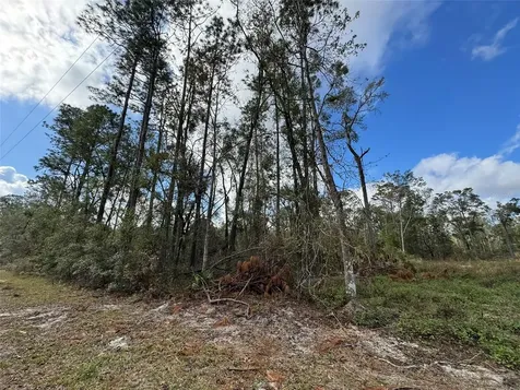 143RD Drive O'brien FL 32071