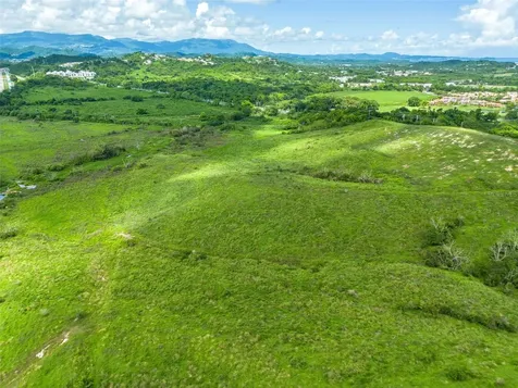 PR-906 Humacao PR 00791