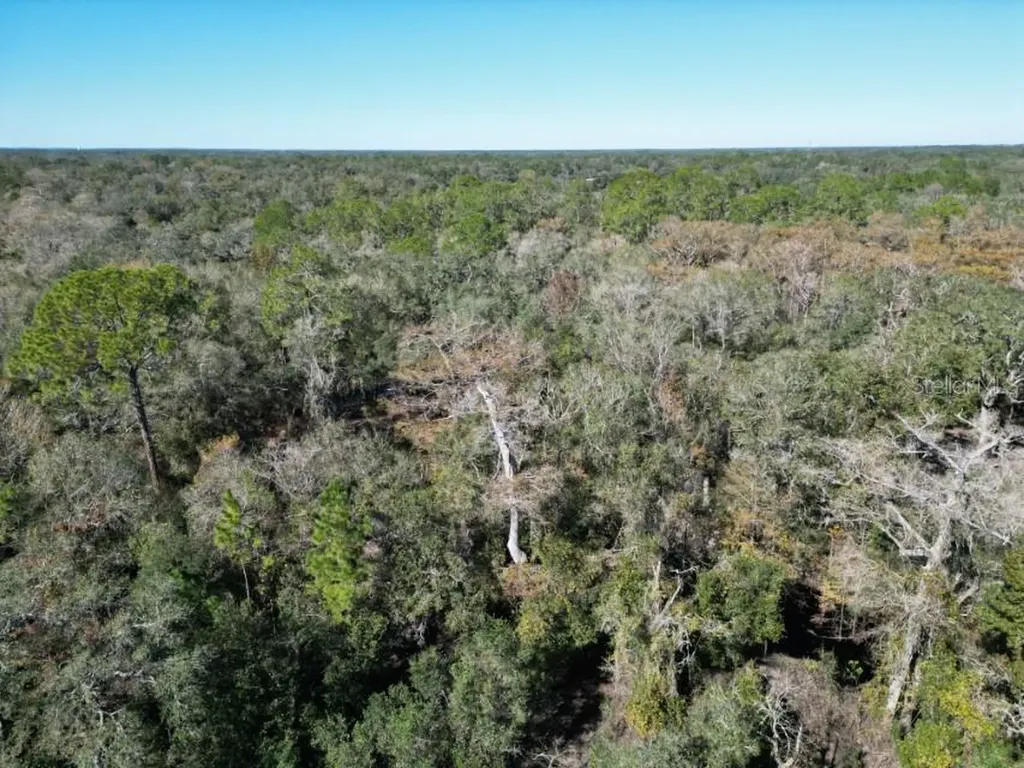 39716 Tworut Road Webster FL 33597