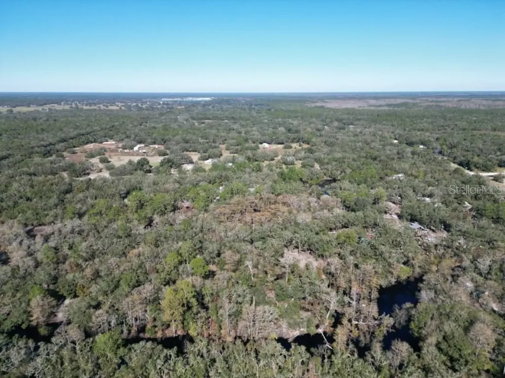 39716 Tworut Road Webster FL 33597