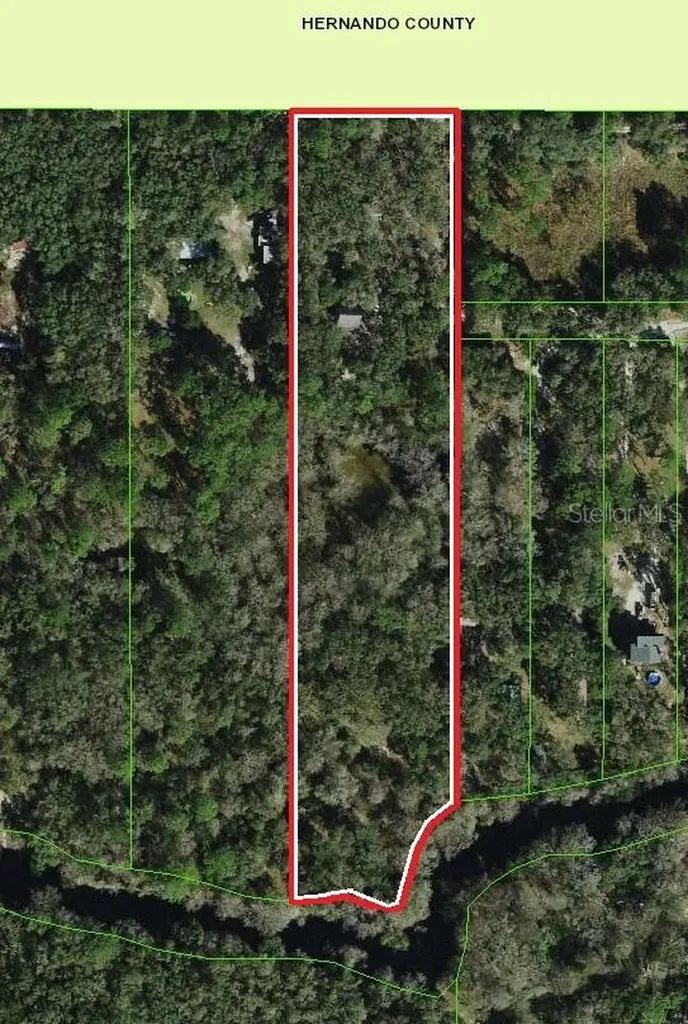 39716 Tworut Road Webster FL 33597