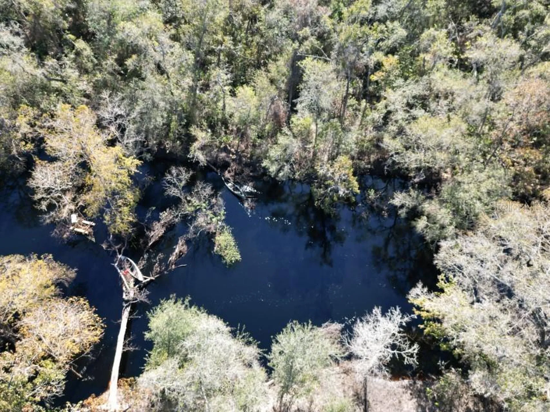 39716 Tworut Road Webster FL 33597