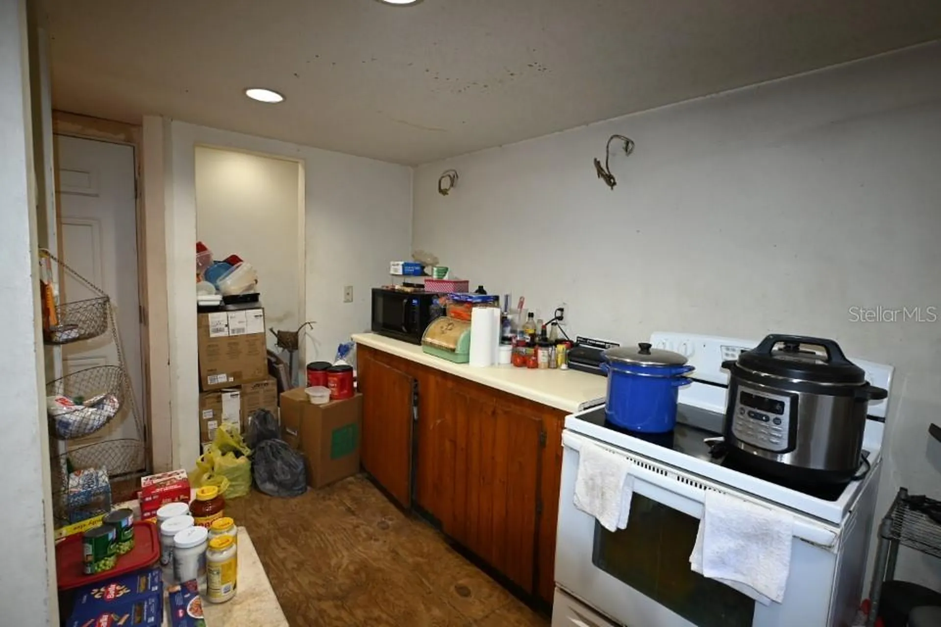 39716 Tworut Road Webster FL 33597