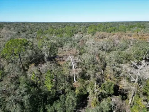 39716 Tworut Road Webster FL 33597