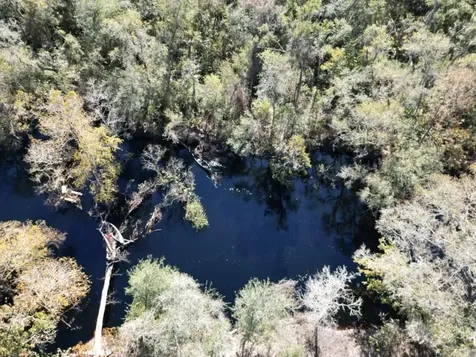 39716 Tworut Road Webster FL 33597
