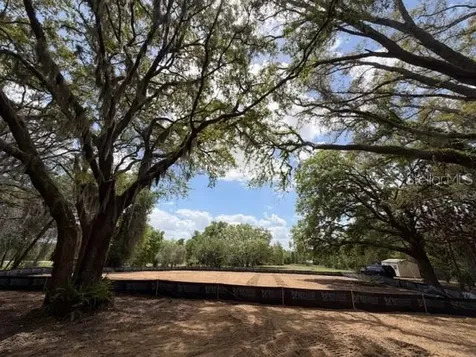 17144 Phil C Peters Road Winter Garden FL 34787
