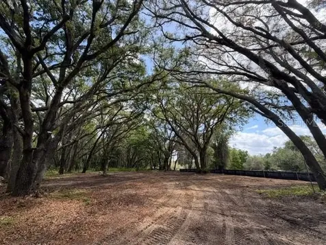 17144 Phil C Peters Road Winter Garden FL 34787