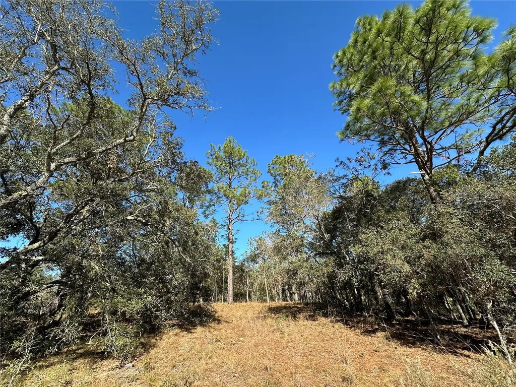 14731 SE 5th Place Williston FL 32696
