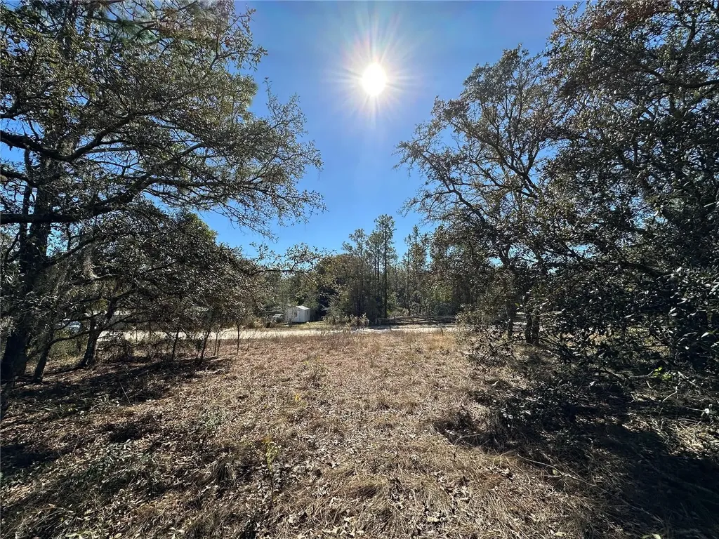 14731 SE 5th Place Williston FL 32696
