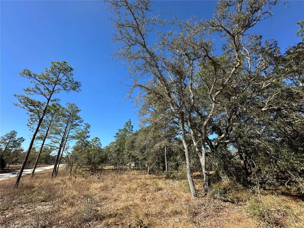 14731 SE 5th Place Williston FL 32696