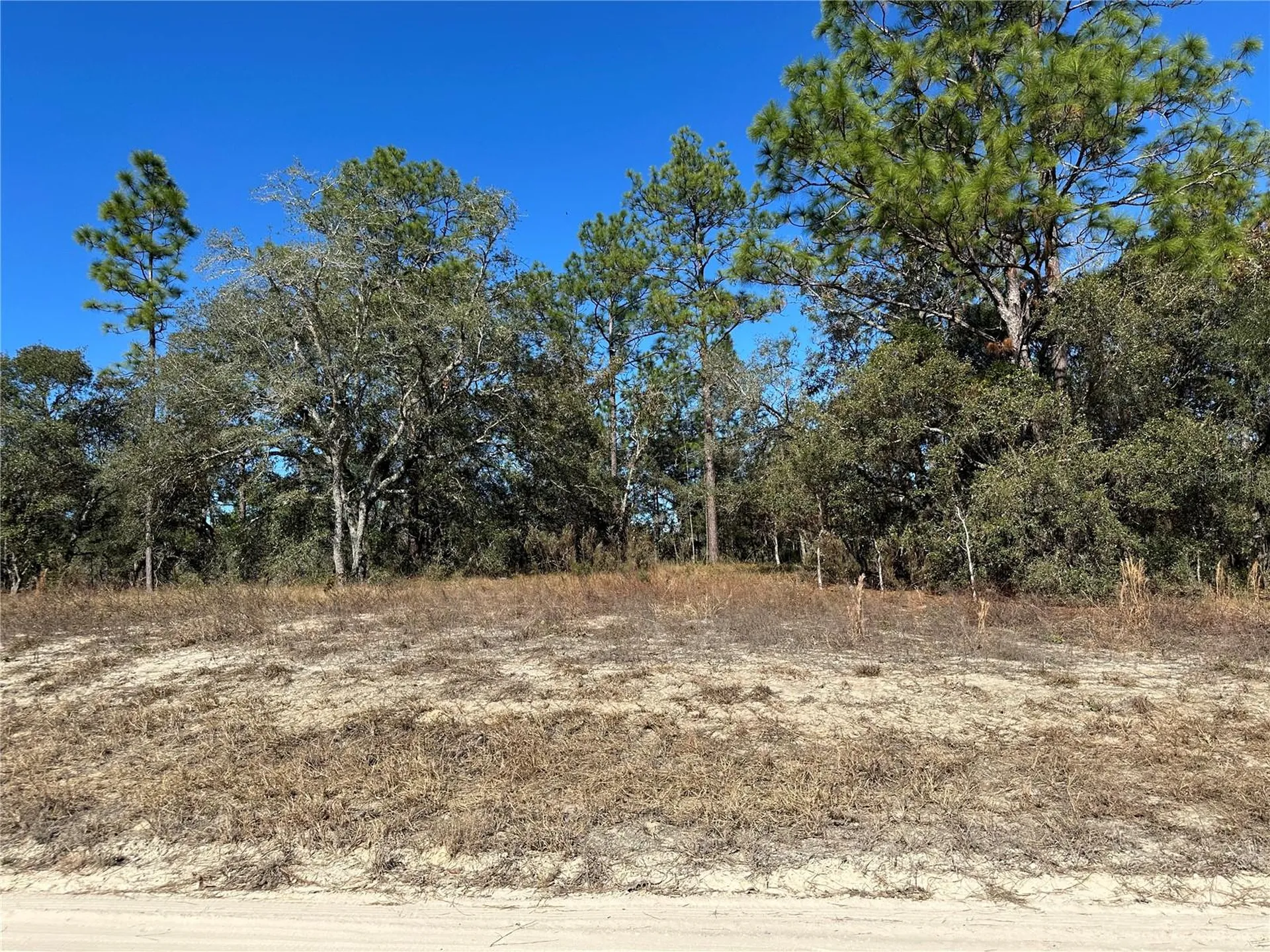 14731 SE 5th Place Williston FL 32696