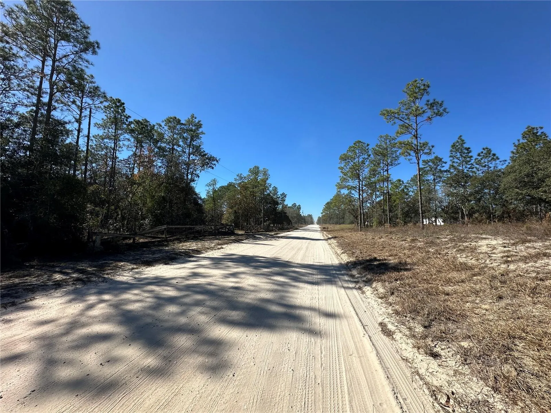 14731 SE 5th Place Williston FL 32696