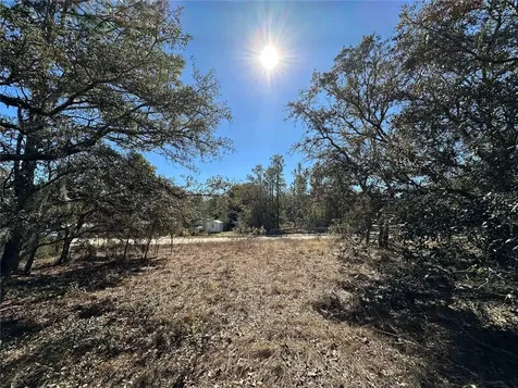 14731 SE 5th Place Williston FL 32696