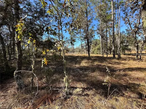 14731 SE 5th Place Williston FL 32696
