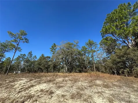 14731 SE 5th Place Williston FL 32696