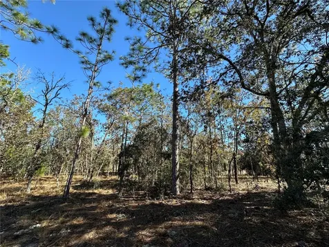 14731 SE 5th Place Williston FL 32696