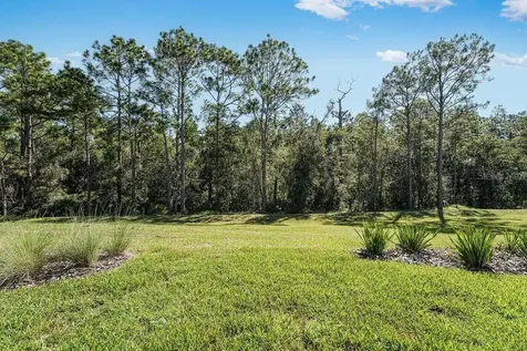 919 Tassleflower Trail St Cloud FL 34771